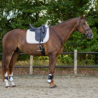 Fetlock boots