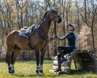 Eventing boots front leg technical