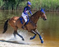 Eventing boots front leg technical