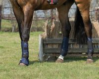 Eventing boots front leg technical