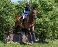 Eventing boots front leg technical