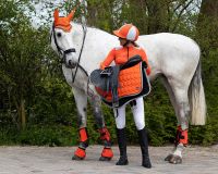 Eventing boots front leg technical