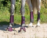 Eventing boots front leg technical