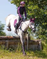 Eventing boots front leg technical