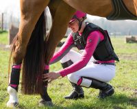 Eventing boots hind leg technical
