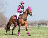 Eventing boots hind leg technical
