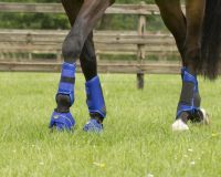 Eventing boots hind leg technical