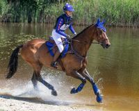 Eventing boots hind leg technical