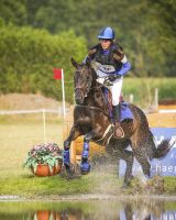 Eventing boots hind leg technical