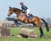 Eventing boots hind leg technical