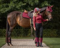 Eventing boots hind leg technical