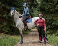 Eventing boots hind leg technical