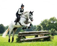 Eventing boots hind leg technical