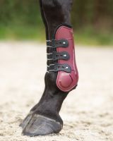 Tendon boots Champion