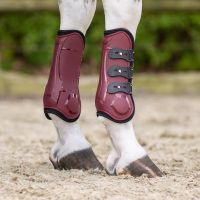 Tendon boots Champion