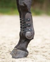 Tendon boots Champion