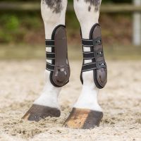 Tendon boots Champion