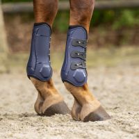 Tendon boots Champion