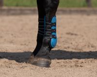 Tendon boots Champion