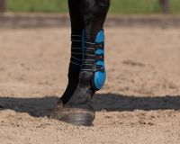 Tendon boots Champion