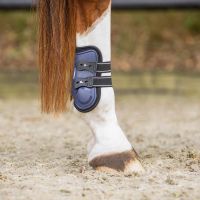 Fetlock boots Champion