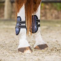 Fetlock boots Champion