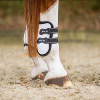 Fetlock boots Champion