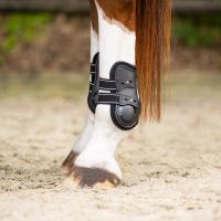 Fetlock boots Champion
