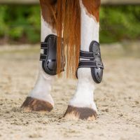 Fetlock boots Champion