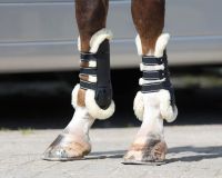 Tendon boots Ontario