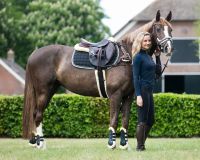 Tendon boots Ontario