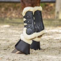 Tendon boots Ontario