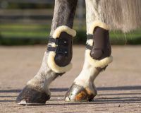 Fetlock boots Ontario
