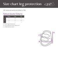 Fetlock boots Ontario