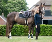 Fetlock boots Ontario
