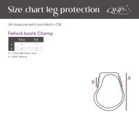 Fetlock boots Champ
