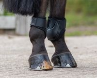 Fetlock boots Champ