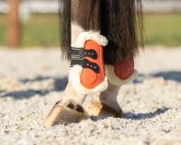 Fetlock boots Menton