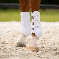 Leg protection front Champion