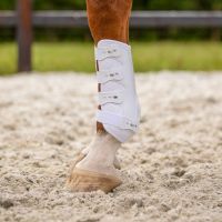 Leg protection front Champion