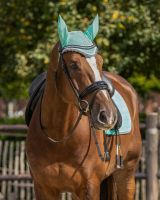 Ear hat Color
