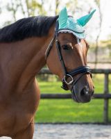 Ear hat Color