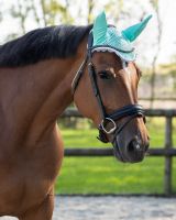Ear hat Color