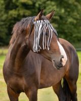 Anti-fly fringe extra