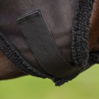 Fly mask with ear protection