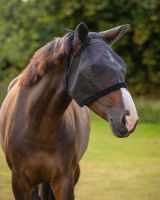 Fly mask with ear protection