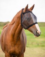 Fly mask without ear protection