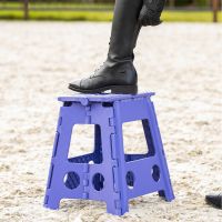 Step-up stool