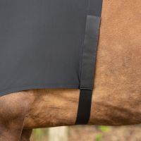 Chest protector elastic