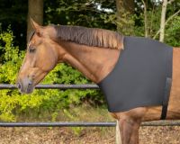 Chest protector elastic